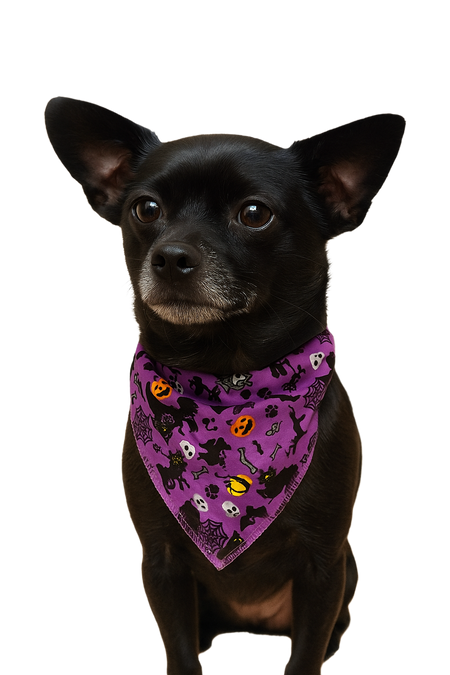 S3172 Halloween Bandana