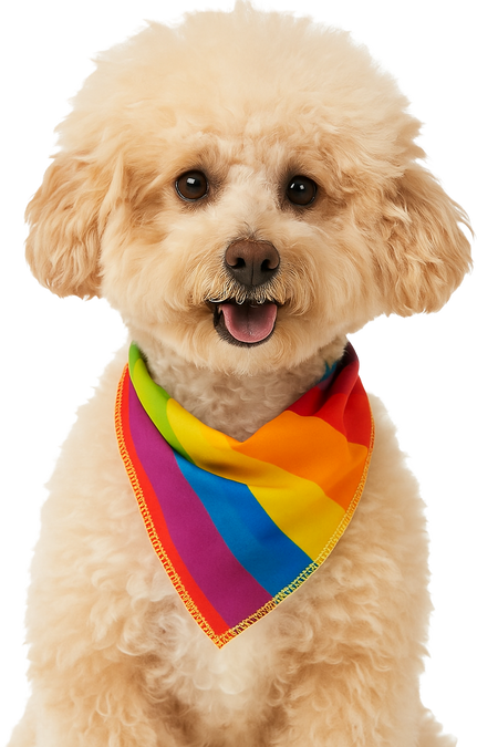 S3173 Rainbow Pride Stripes Doggie Bandana