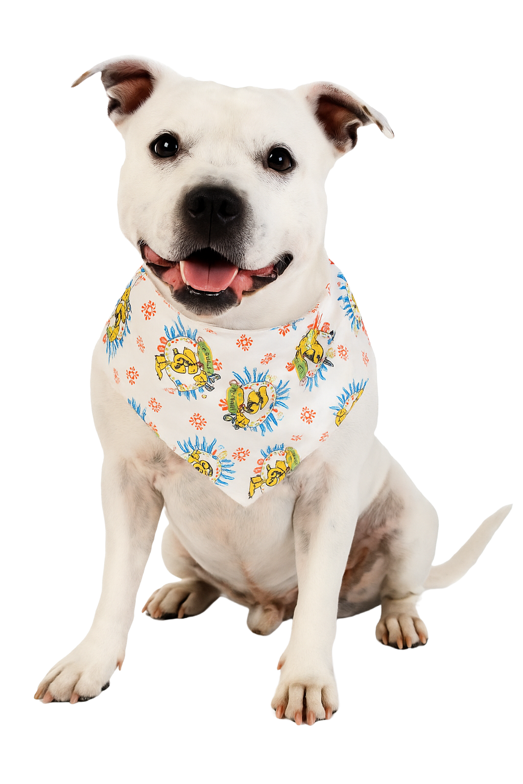 S3174 Travel Around The World Doggie Bandana, White