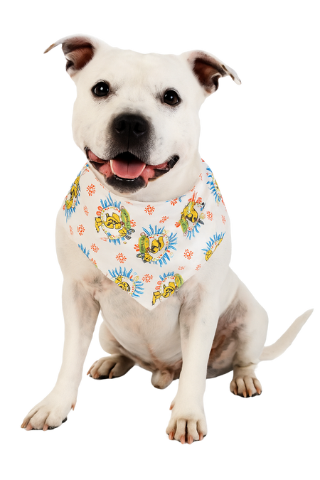 S3174 Travel Around The World Doggie Bandana, White