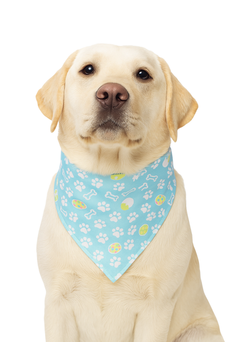 S3017 White Paws & Bones Easter Bandana, Blue