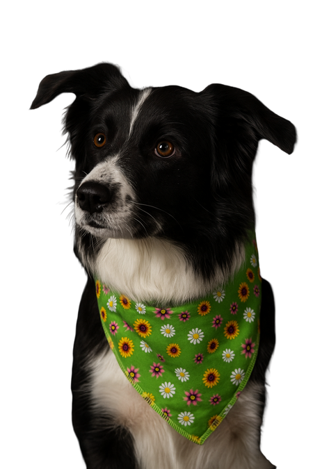 S3018 Flowers Bandana, Green