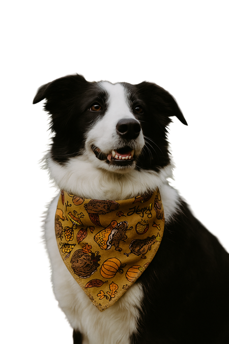 S3182 Thanksgiving Doggie Bandana