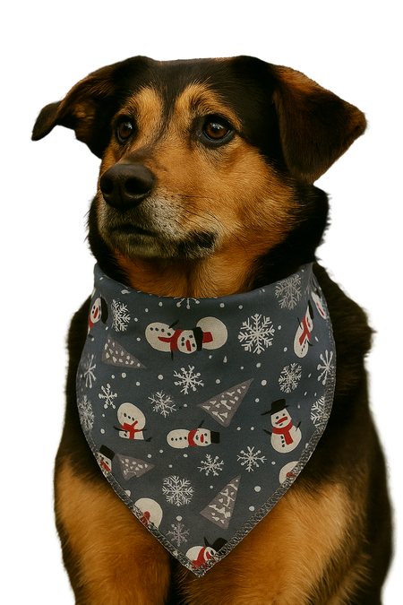 S3183 Winter Holiday Bandana