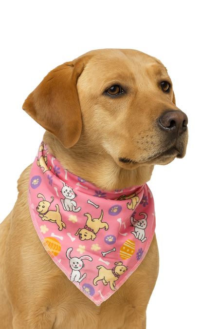 PKS9 60 Assorted EASTER Tieback Dog Grooming Bandanas / Groomers Bulk Package