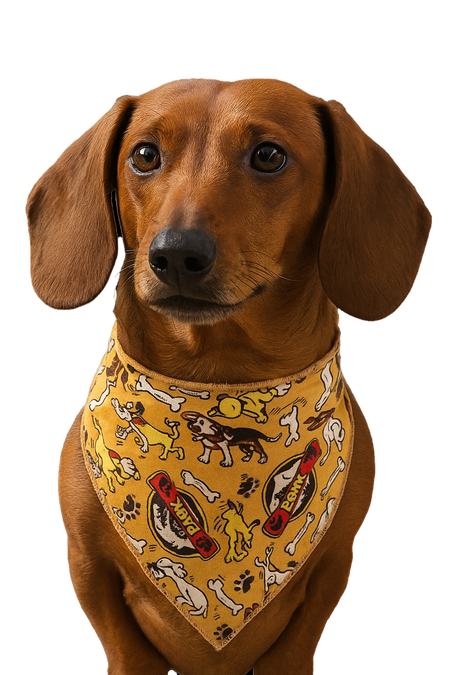 S3192 Dogs Digging Up Dino Bones Funny Bandana, Brown