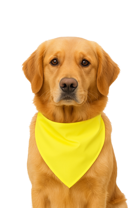 S3195 Yellow Neon Bandana