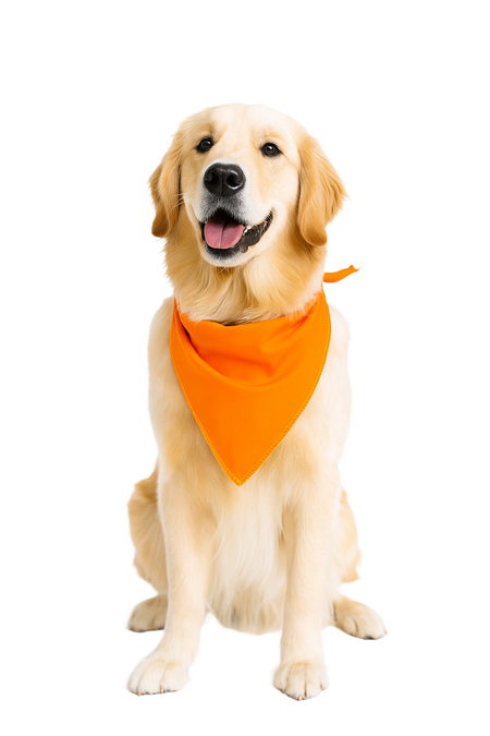 S3197 Orange Bandana