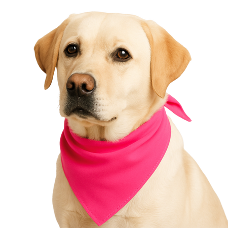 S3198 Hot Pink Bandana