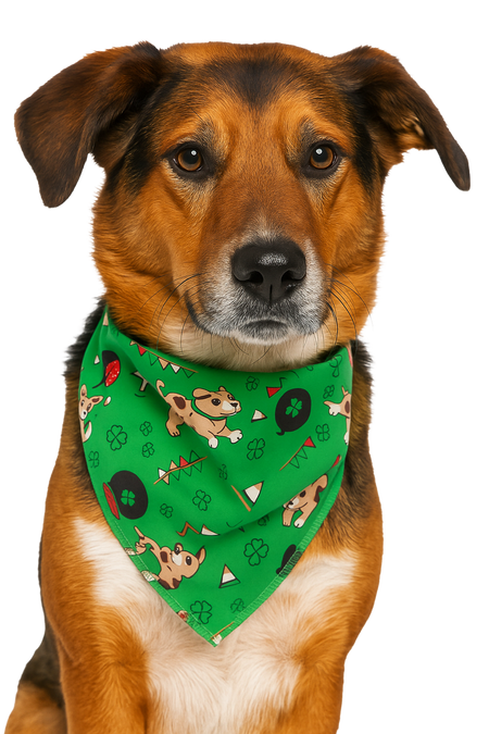 S3205 St. Patrick's Day Doggie Bandana, Green