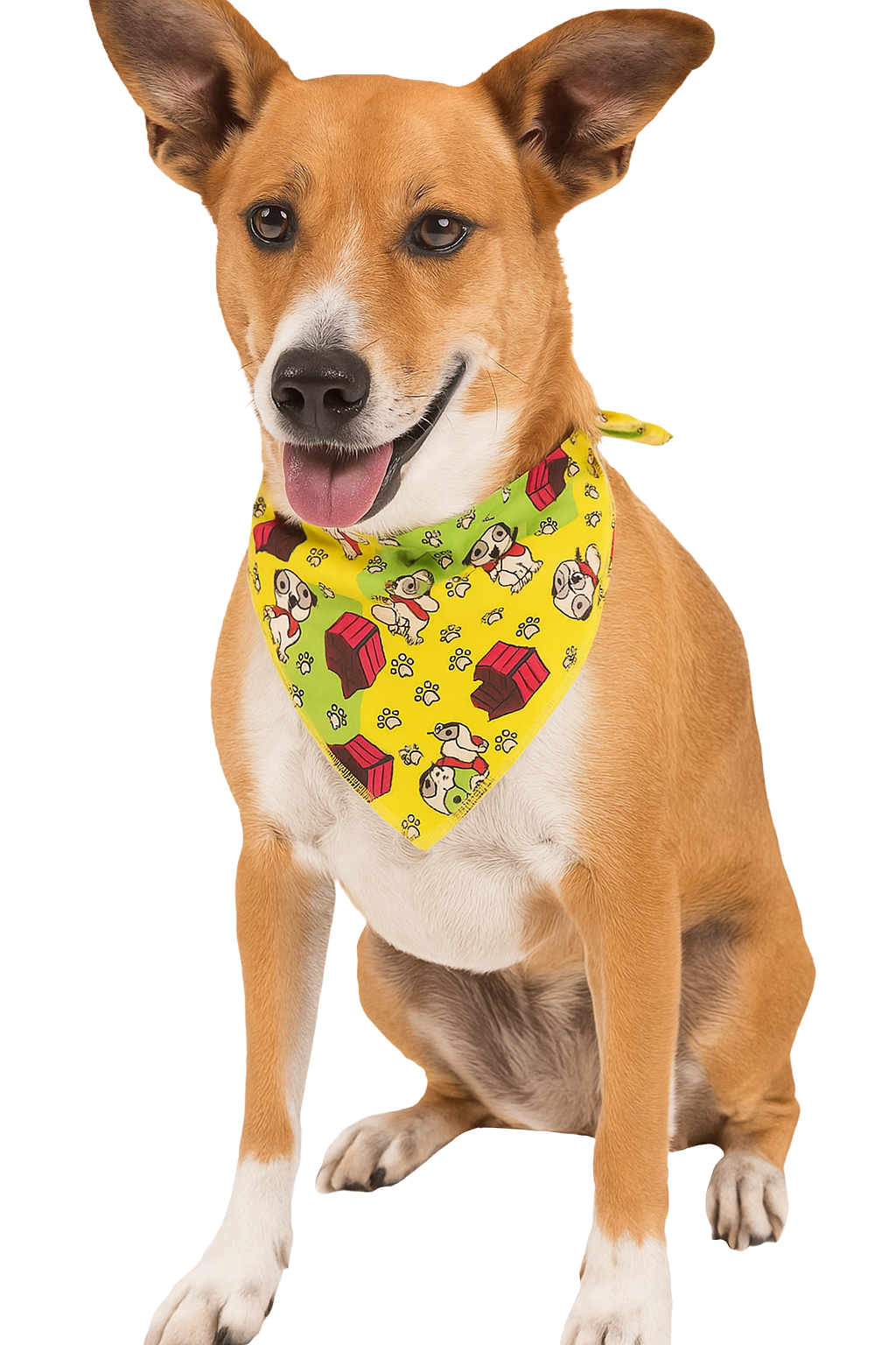 SA3207 Doggie House Bandana, Yellow Green