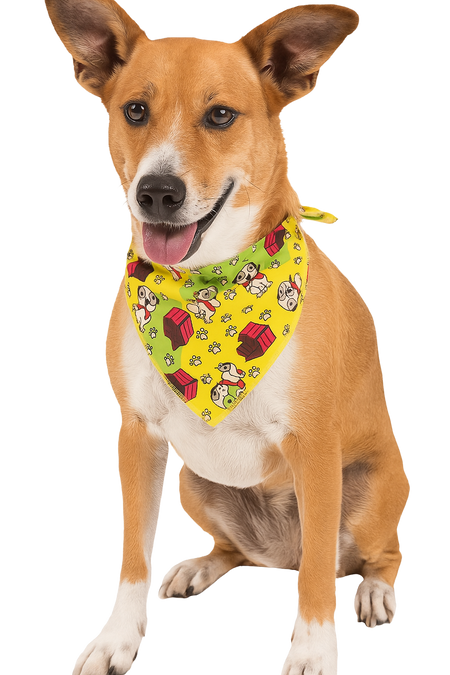 SA3207 Doggie House Bandana, Yellow Green