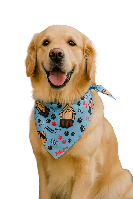 S3208 Buddy Doggie House Bandana, Blue