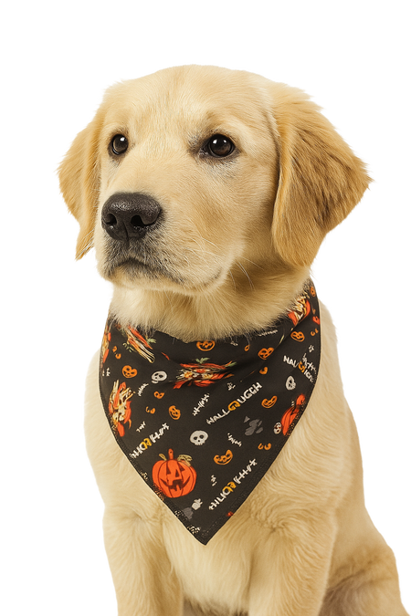 S3213 Halloween Bandana