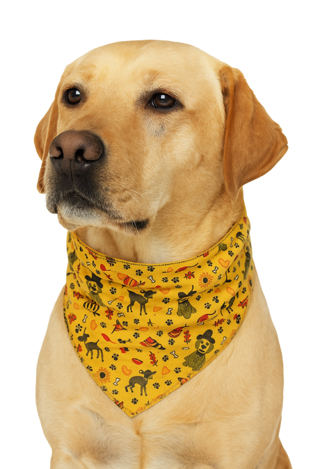 S3219 Pilgrim Hat Doggie Bandana
