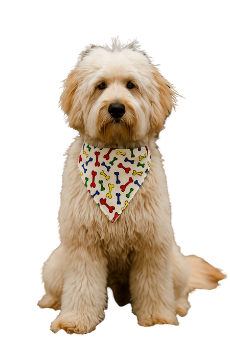 S3225 Bones Doggie Bandana, White