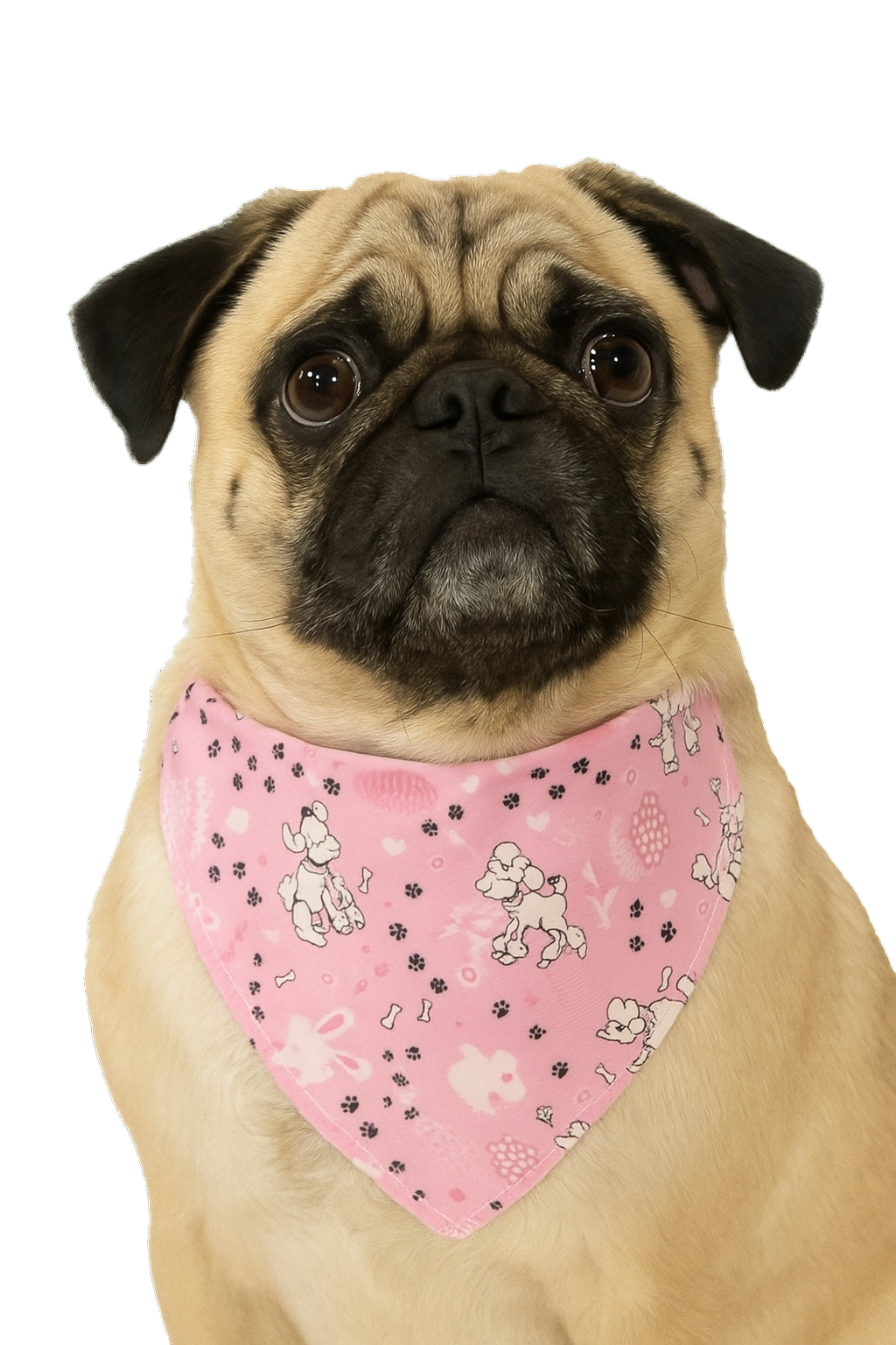 S3226 Easter Bunny & Chick Doggie Bandana, Pink