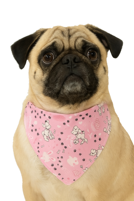 S3226 Easter Bunny & Chick Doggie Bandana, Pink