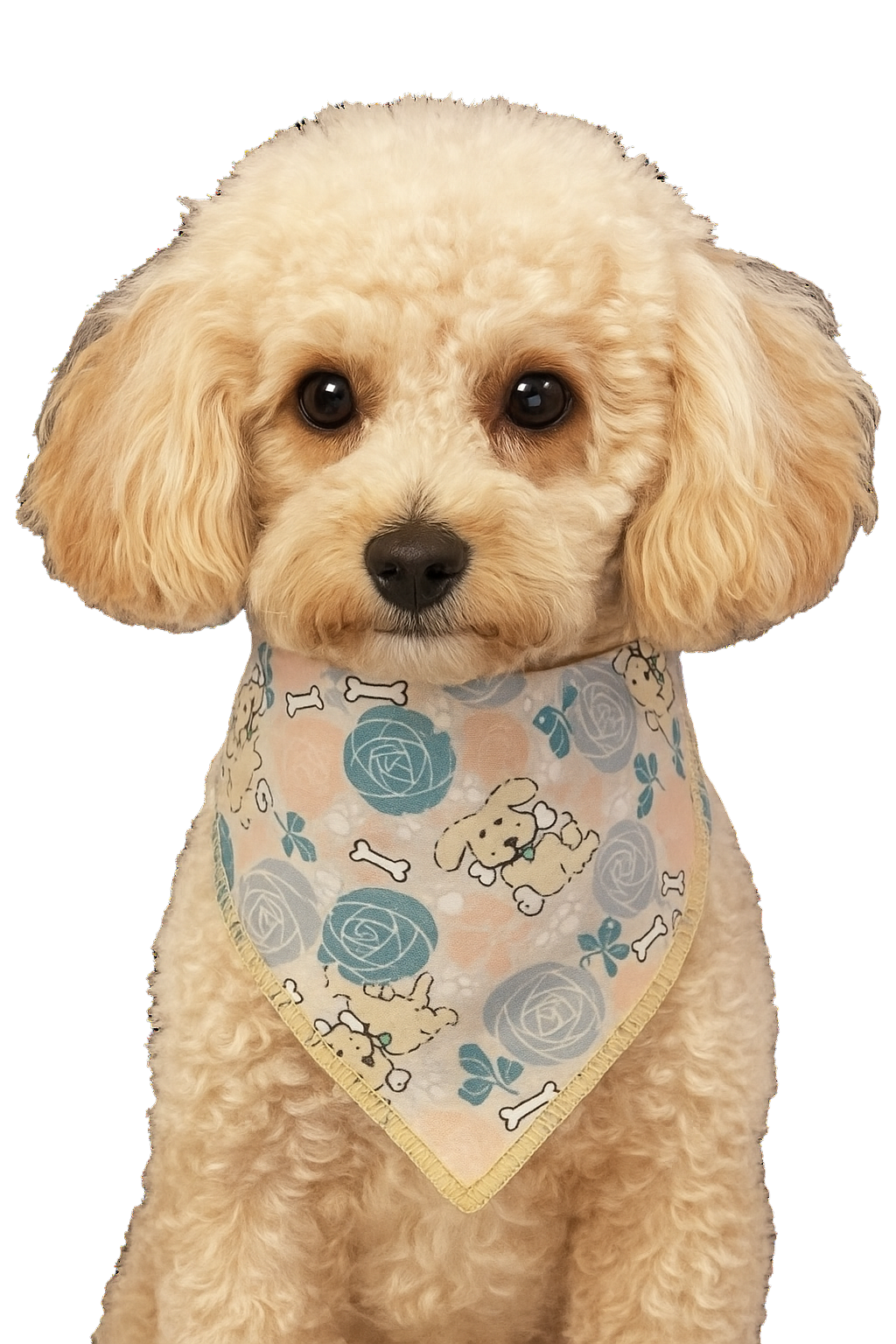 S3228 Puppies, Bones & Roses Bandana, Grey Floral
