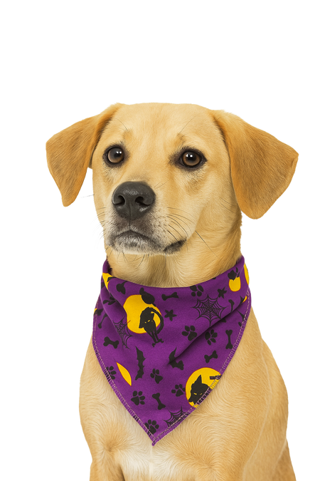 S3229 Halloween Bandana Purple