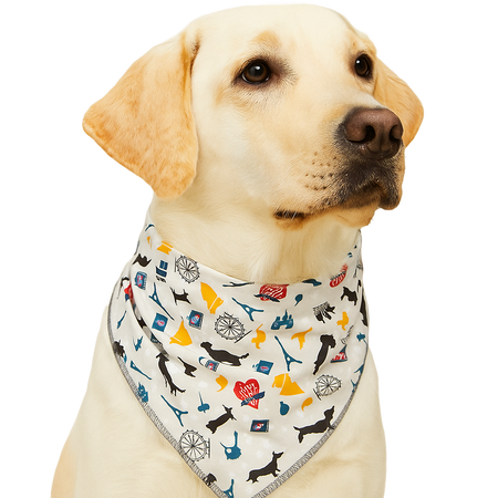 S3231 Travel Doggie France, Australia & Beyond Bandana, Grey
