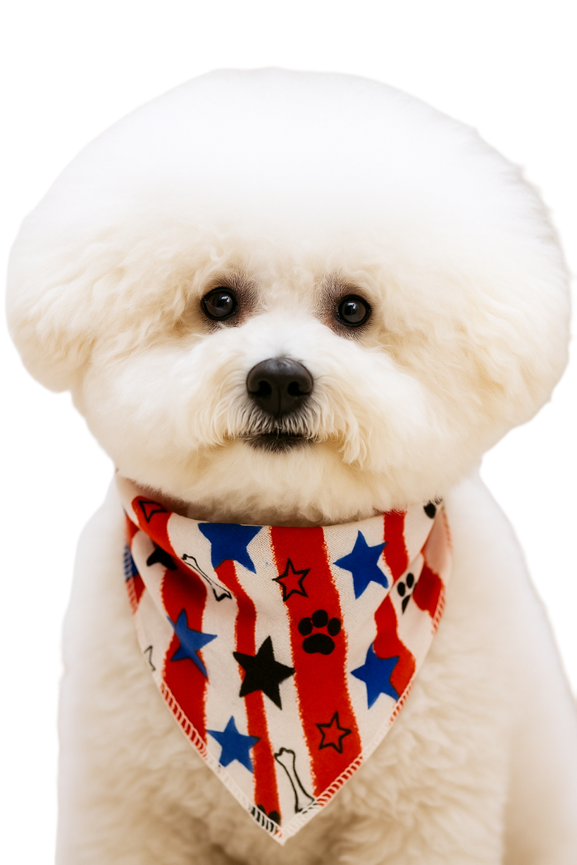 S3234 Stars & Bones Doggie Bandana, White