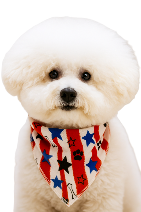 S3234 Stars & Bones Doggie Bandana, White