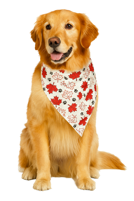 S3235 Maple Leaves & Pawprints Bandana, White