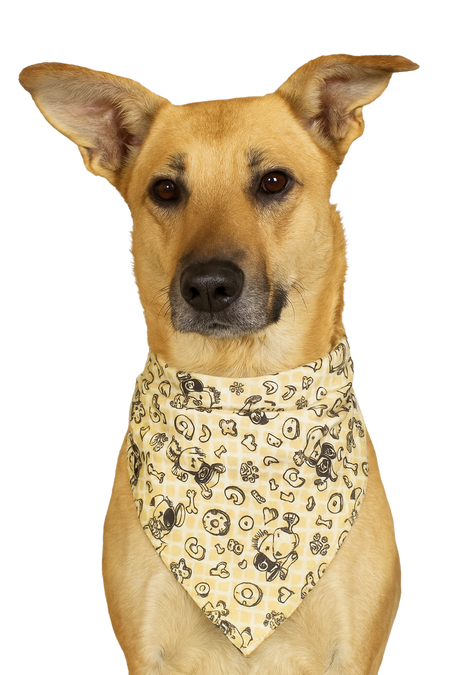 S3237 Checker Sketch Doggie Bandana, White