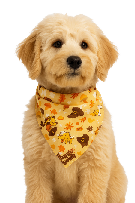 S3243 Thanksgiving Doggie Bandana