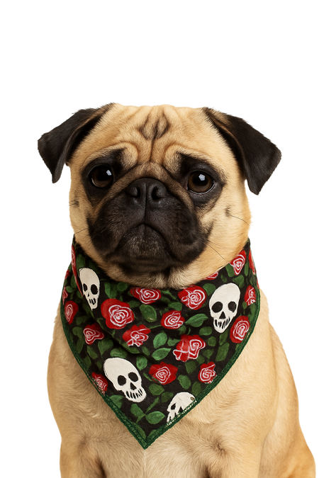 S3024 Skull Doggie Bandana