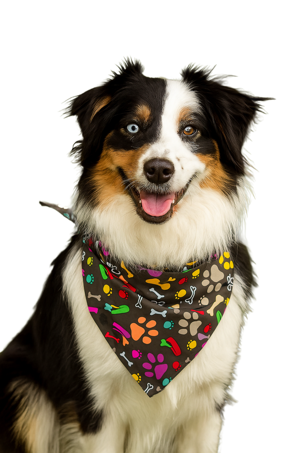 S3250 Happy Dog, Paws & Bones Bandana