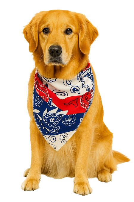 S3251 Multicolor Paisley Triangle Bandana 100% Premium Cotton