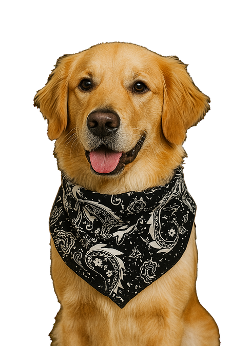 S3253 Rustic Navy Paisley Triangle Bandana 100% Premium Cotton