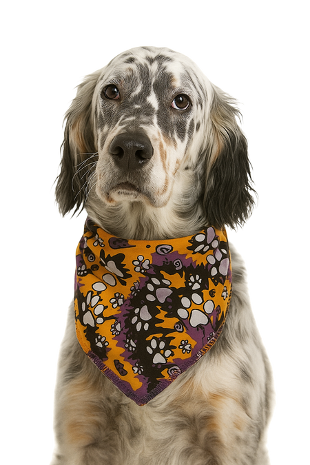 S3259 Halloween Bandana, Tie Dye