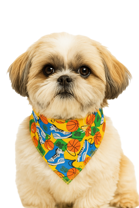 SA3025 Basketball Doggie Bandana, Orange