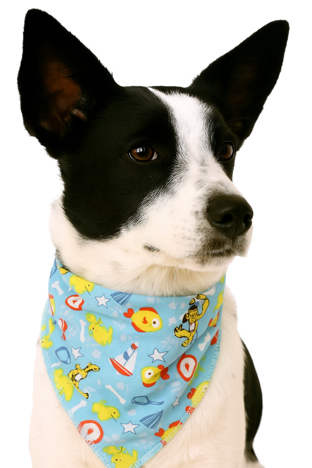 S3026 Summer Doggie Bandana