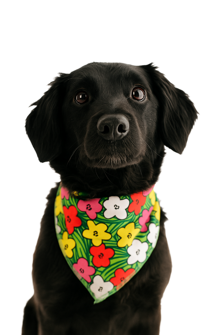 S3268 Flowers Doggie Bandana