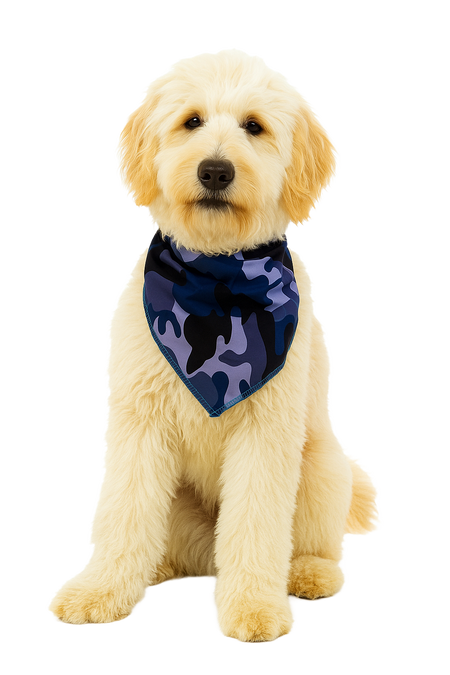 S3271 Blue Camouflage Bandana