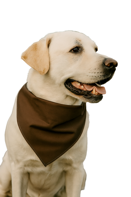 S3028 Brown Bandana