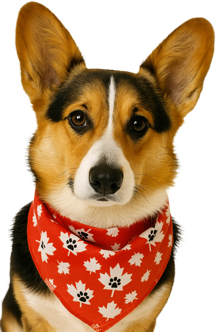 S3280 Maple Leaf Doggie Bandana
