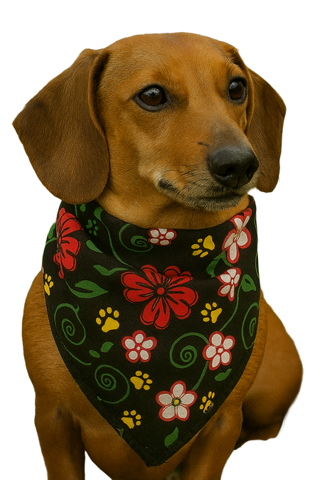S3030 Flowers Bandana, Black