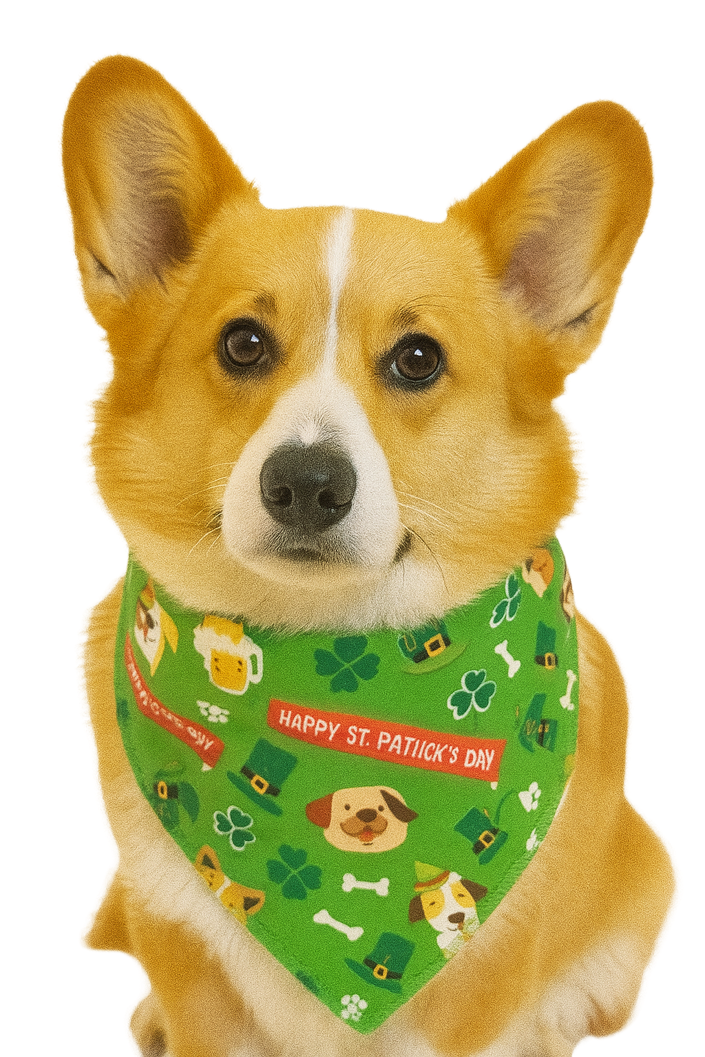 S3037 Happy St. Patrick's Day Doggie Bandana, Green