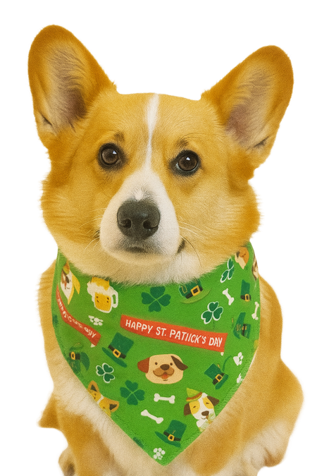 S3037 Happy St. Patrick's Day Doggie Bandana, Green