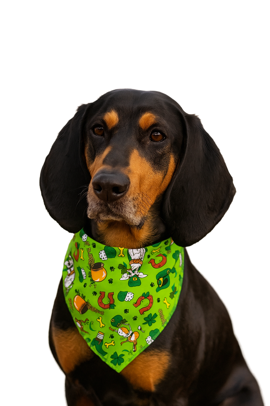 S3004 St. Patrick's Doggie Bandana, Green
