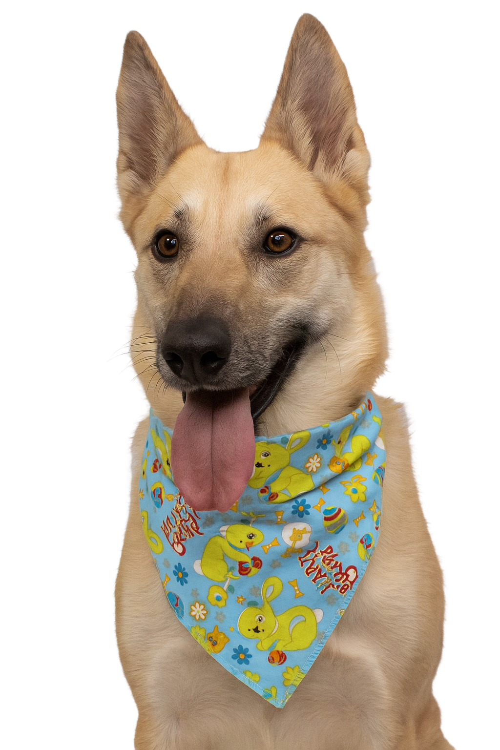 S3041 Easter Doggie Bandana, Blue