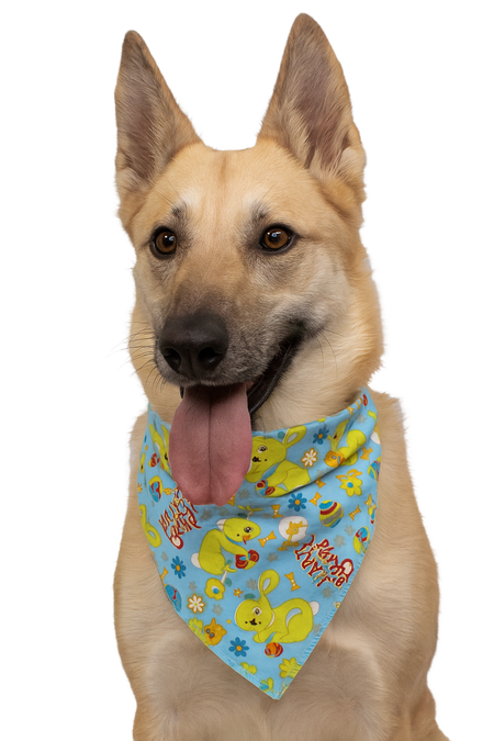 S3041 Easter Doggie Bandana, Blue