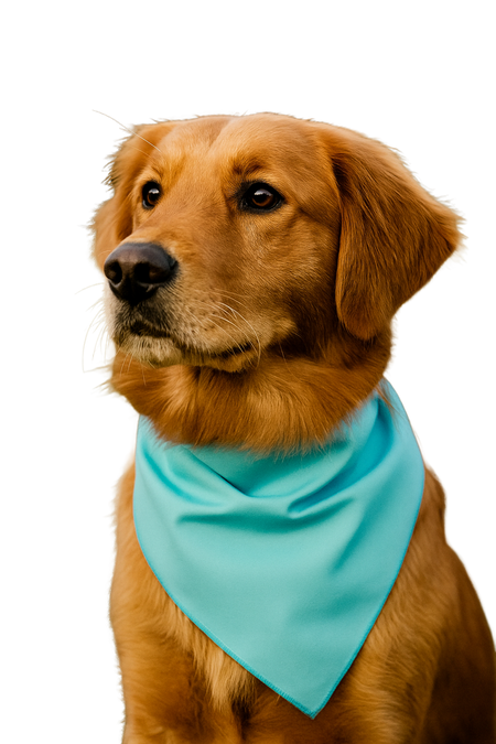 S3048 Light Blue Bandana