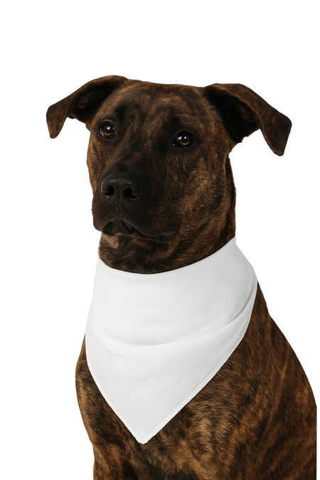 S3500 Cloud White Poly/Cotton Bandana