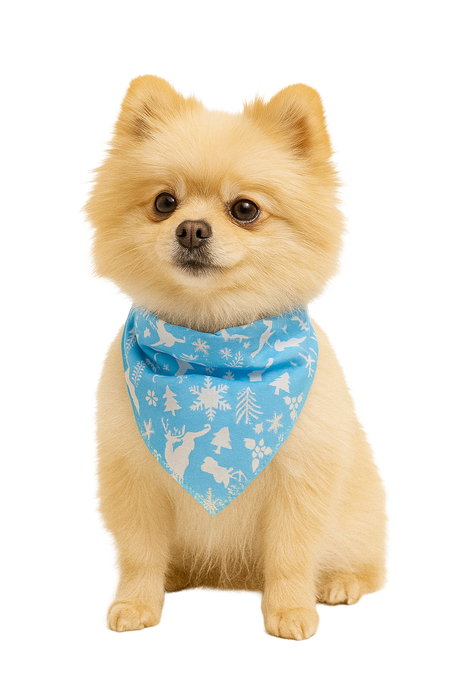 S3050 Christmas Bandana Blue